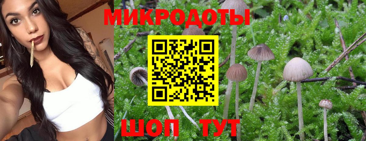 Ливны  Псилоцибиновые грибы мухоморы  Вход с VPN 
